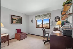 847 Pinewicket Way, Parker, CO 80138 - Photo 24
