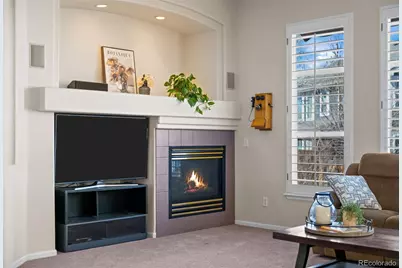 10102 Glenstone Circle, Highlands Ranch, CO 80130 - Photo 10