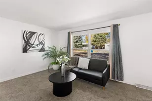 1110 Phay Ave, Canon City, CO 81212 - Photo 6