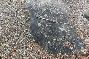 10553 US Hwy 34 Mh, Grand Lake, CO 80447 - Photo 24