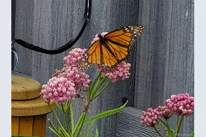 1302 I Street, Salida, CO 81201 - Photo 50