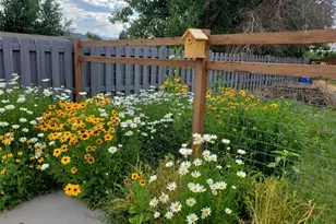 1302 I St, Salida, CO 81201 - Photo 48