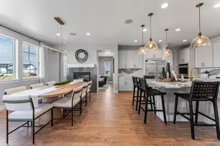 4153 Headlamp Ct, Castle Rock, CO 80108 - Photo 14