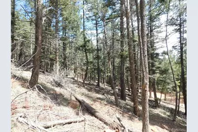 13520 Woodmoor West Drive, Larkspur, CO 80118 - Photo 26