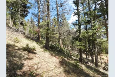 13520 Woodmoor West Drive, Larkspur, CO 80118 - Photo 24