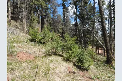 13520 Woodmoor West Drive, Larkspur, CO 80118 - Photo 20