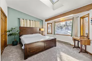 121 Iris Dr, Bailey, CO 80421 - Photo 12