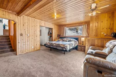 121 Iris Drive, Bailey, CO 80421 - Photo 20
