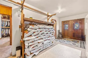 121 Iris Dr, Bailey, CO 80421 - Photo 22