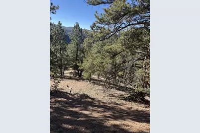 1480 Pikes Peak Drive, Divide, CO 80814 - Photo 1