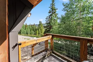 932 Peterson Dr, Alma, CO 80420 - Photo 36