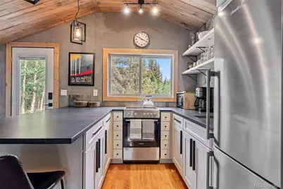 932 Peterson Drive, Alma, CO 80420 - Photo 2