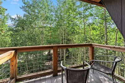 932 Peterson Drive, Alma, CO 80420 - Photo 20
