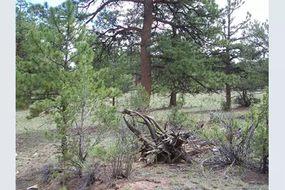 Lot 8 Big Sandy Estates, Buena Vista, CO 81211 - Photo 32