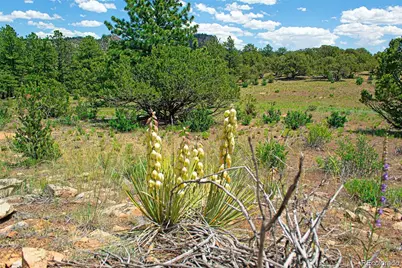 Lot 8 Big Sandy Estates, Buena Vista, CO 81211 - Photo 30