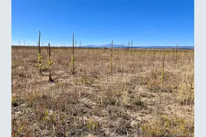 Parcel 1 County Road 98, Elbert, CO 80106 - Photo 6