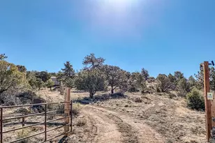 820 Little Horn Dr, Westcliffe, CO 81252 - Photo 20