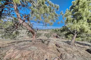 820 Little Horn Dr, Westcliffe, CO 81252 - Photo 26