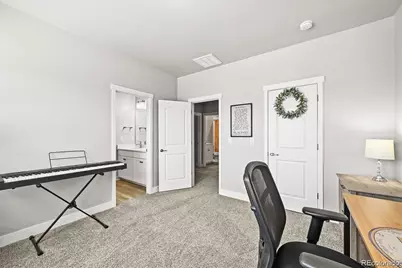 3293 Offbeaten Place, Castle Rock, CO 80108 - Photo 48