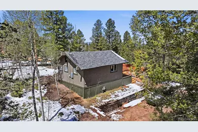 747 Trout Haven Road, Florissant, CO 80816 - Photo 8