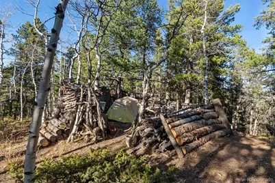 86 Severance Lodge Road, Black Hawk, CO 80422 - Photo 10