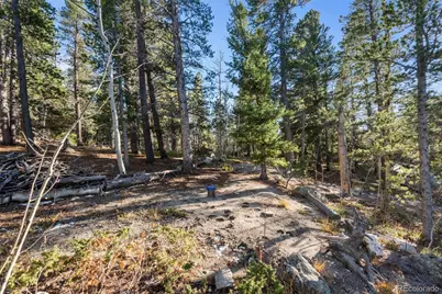 86 Severance Lodge Road, Black Hawk, CO 80422 - Photo 12
