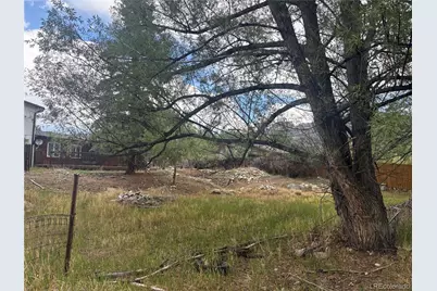 119 Mill Avenue, Buena Vista, CO 81211 - Photo 30