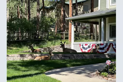 4745 Cheyenne Drive, Larkspur, CO 80118 - Photo 46