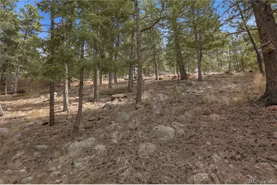 19253 E US Highway 24, Woodland Park, CO 80863 - Photo 30