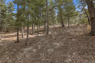 19253 E US Hwy 24, Woodland Park, CO 80863 - Photo 30