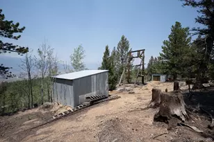 3029 Yankee Blade, Granite, CO 81228 - Photo 12