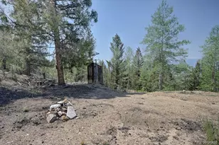 3029 Yankee Blade, Granite, CO 81228 - Photo 16
