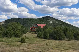 1662 21st Trail, Cotopaxi, CO 81223 - Photo 1
