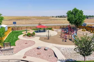 113 Madison Dr, Bennett, CO 80102 - Photo 34