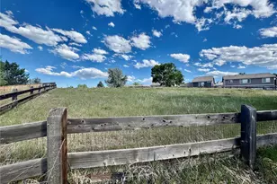 10078 Apollo Bay Way, Littleton, CO 80130 - Photo 34