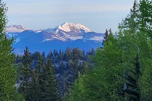 253 Bear Ln, Jefferson, CO 80456 - Photo 20