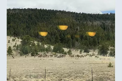 324 Elk View Court, Canon City, CO 81212 - Photo 50