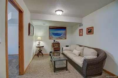 434 S Random Road, Bailey, CO 80421 - Photo 32