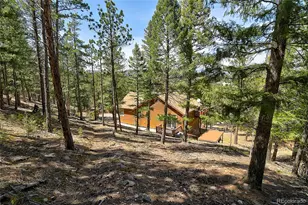 434 S Random Rd, Bailey, CO 80421 - Photo 40