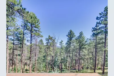 29203 & 29253 Lee Road, Evergreen, CO 80439 - Photo 42