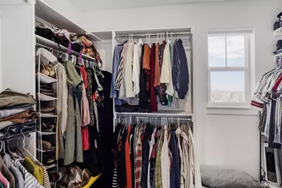 4204 Martinson Drive, Loveland, CO 80537 - Photo 24