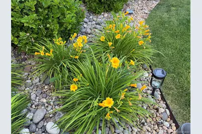 6526 S Abilene Street, Englewood, CO 80111 - Photo 30