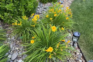 6526 S Abilene St, Englewood, CO 80111 - Photo 30