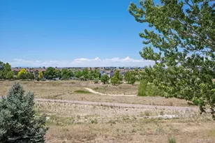 8419 Dove Ridge Way, Parker, CO 80134 - Photo 38