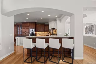 124 Silver Leaf Way, Castle Rock, CO 80108 - Photo 20