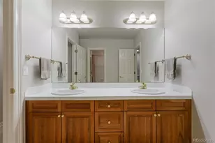 124 Silver Leaf Way, Castle Rock, CO 80108 - Photo 40