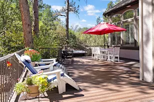 124 Silver Leaf Way, Castle Rock, CO 80108 - Photo 42