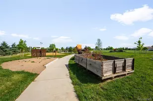 2078 Autumn Moon Dr, Windsor, CO 80550 - Photo 32