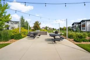 2078 Autumn Moon Dr, Windsor, CO 80550 - Photo 30