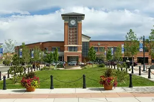 9454 Wolfe Pl, Highlands Ranch, CO 80129 - Photo 44